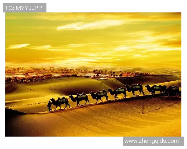 崔永熙：在时代变迁中探索文化传承与创新的艺术之路