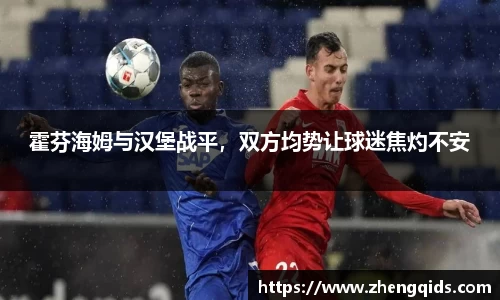 霍芬海姆与汉堡战平，双方均势让球迷焦灼不安