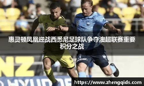 星空体育网站入口
