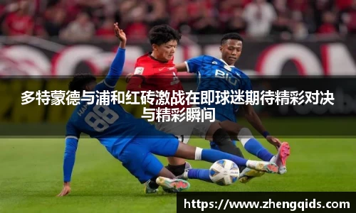 星空官网